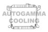 HONDA 19010689905 Radiator, engine cooling